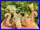 Fumed_Glass_Octopus_Smoking_Pipe_Stunning_Iridescent_Design_Kraken_Glass_Art_01_whfw