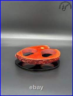 Mastro De Paja Per Fummatori Stand For 2 Smoking Pipes