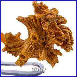 S. Yanik Meerschaum Pipe Talking Tree, Ent Tobacco Smoking Pipe