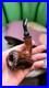 Smoking_pipe_tobacco_pipe_briar_handmade_01_rnfn